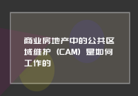 美国商业房地产中的公共区域维护 (CAM) 的工作实例探究